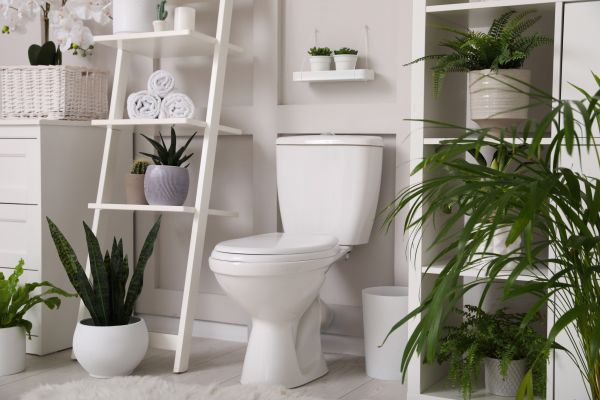 Cost of Toilet Repair in Lenexa