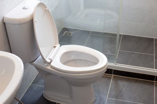 Cost of Toilet Replacement in Lenexa