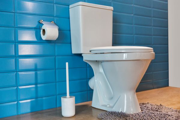 Cost of Toilet Tank Repair in Lenexa