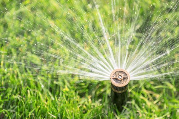 Cost of Spigot Installation in Lenexa