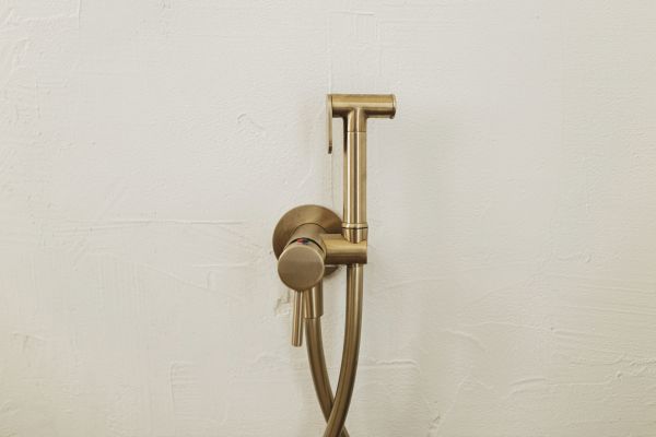 Cost of Bidet Plumbing in Lenexa