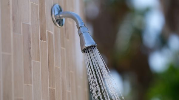 Cost of Showerhead Repair in Lenexa