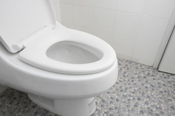 Cost of New Toilet Installation in Lenexa