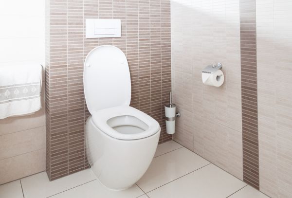 Cost of Toilet Plumbing Installation in Lenexa